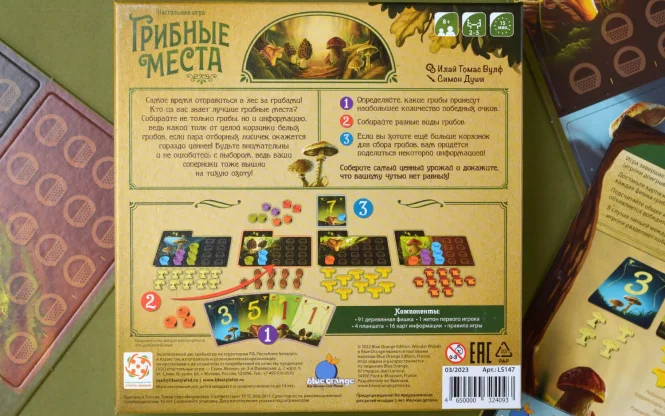 Грибные места фото 10